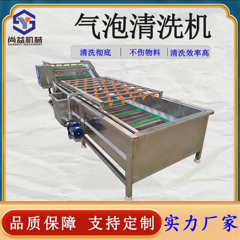 枇杷果气泡清洗机树莓气浪清洗机器新鲜水果清洗风干流水线
