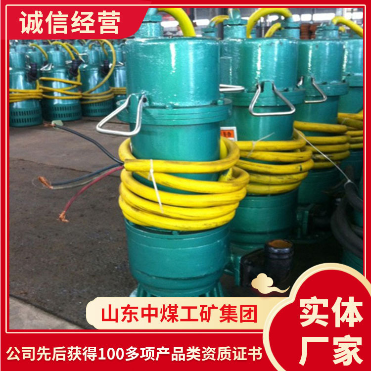 BQS矿用隔爆潜水泵工作过程矿用隔爆潜水泵 现货潜水泵