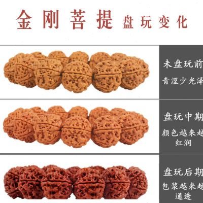 妍韵珠宝满肉双龙纹六瓣大金刚菩提子手串文玩佛念珠木手串把件男
