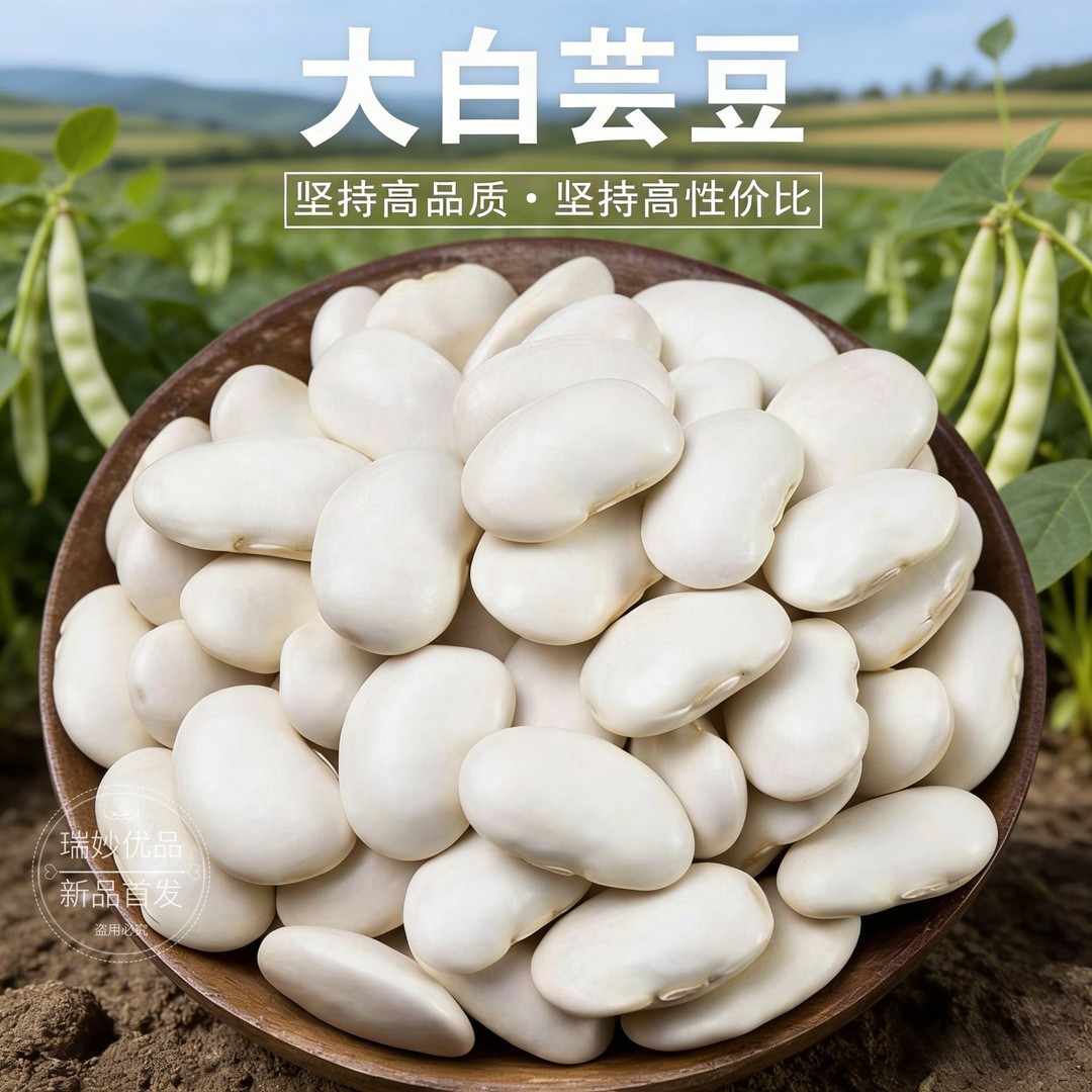 【白芸豆豆子新鲜大白豆干货】大粒白芸豆新货可炖猪脚老妈蹄花