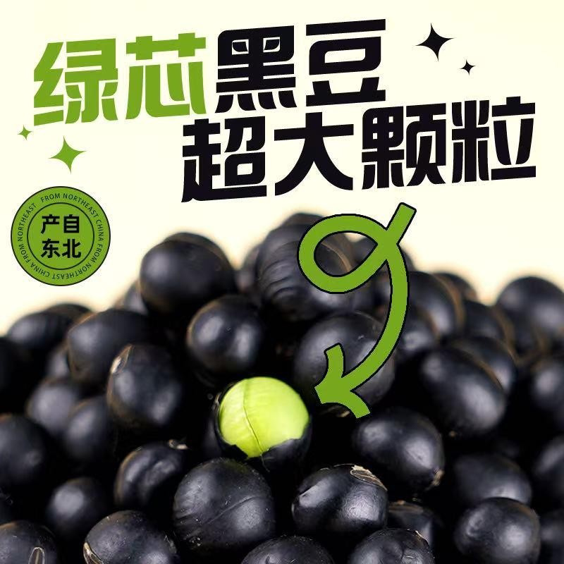 东北黑豆农家绿心青仁黑豆五谷杂粮发芽黑豆打豆浆绿芯黑豆