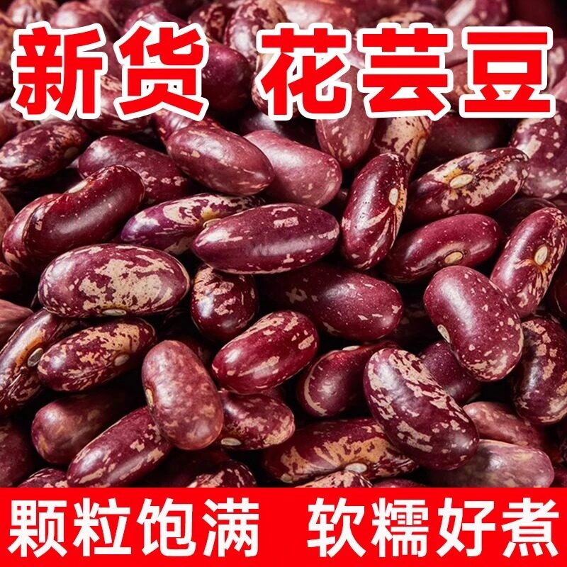 东北黑龙江新花芸豆紫花芸豆豆包豆馅大碴粥专用新紫花芸豆杂粮