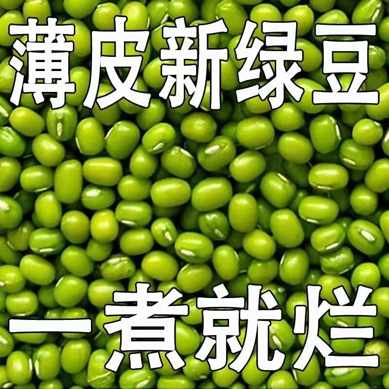 东北新鲜小绿豆适合熬粥煲汤做绿豆糕原料发芽五谷杂粮今年新绿豆