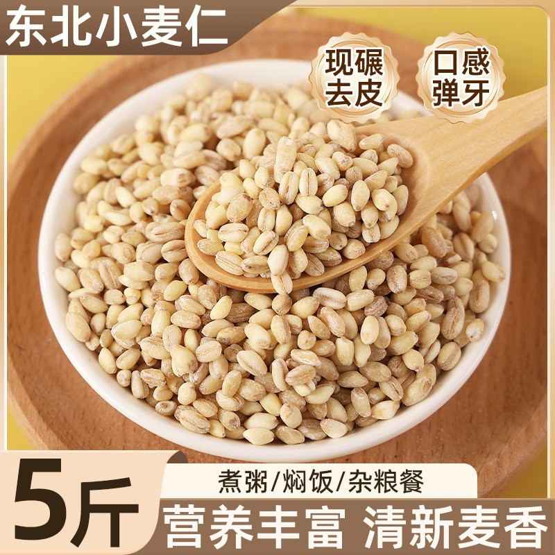 东北小麦营养米新米脱皮小麦仁米农家自种粗粮糙米饭五谷杂粮5斤