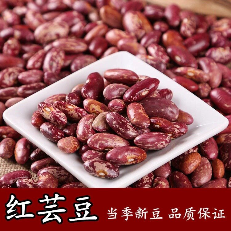新豆红芸豆农家紫花食用芸豆饭豆东北芸营养颗谷杂粮饭新货颗粒