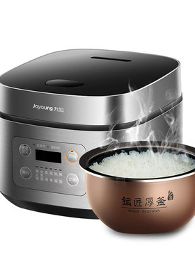 Joyoung/九阳 F40FY-F333微电脑低生糖定时家用4L