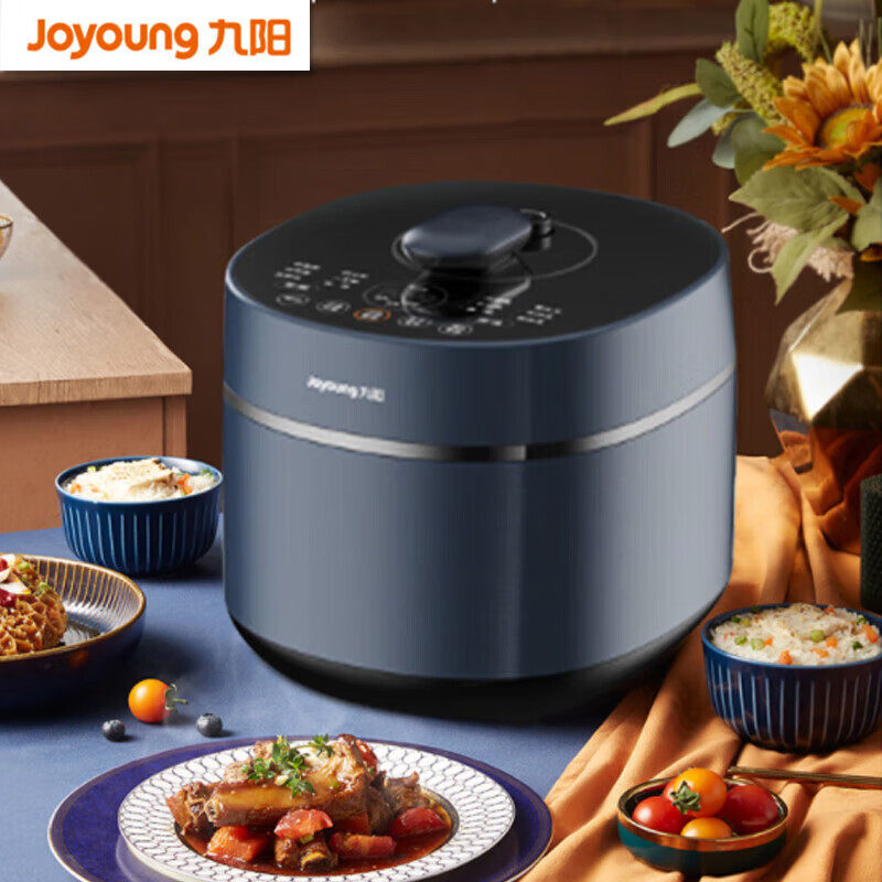 Y50C-B3935升球形内胆电压力锅