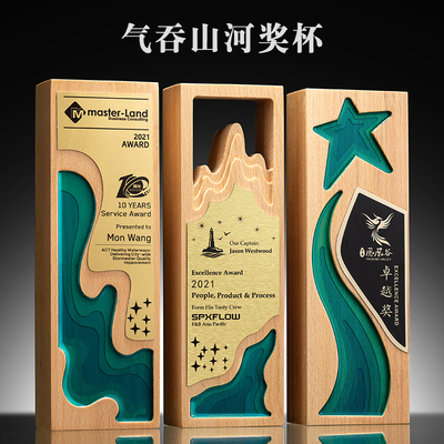 实木质奖杯定制刻字创意五角星个性荣誉奖牌定做优秀员工冠军团队
