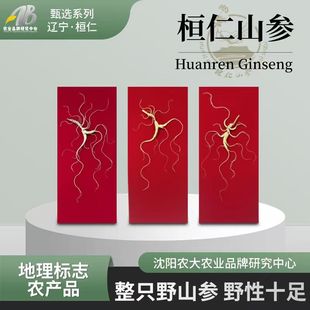 【农大甄选】桓仁山参干参15年东北野山参林下参整参非人参西洋参