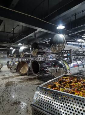 商用全自动休闲豆食品杀菌锅高 水玉米肠粽NGU子熟食干温浴杀菌釜