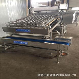 南美白皮机18653655去对虾自动 剥 虾机 青虾脱皮机价格虾仁完整