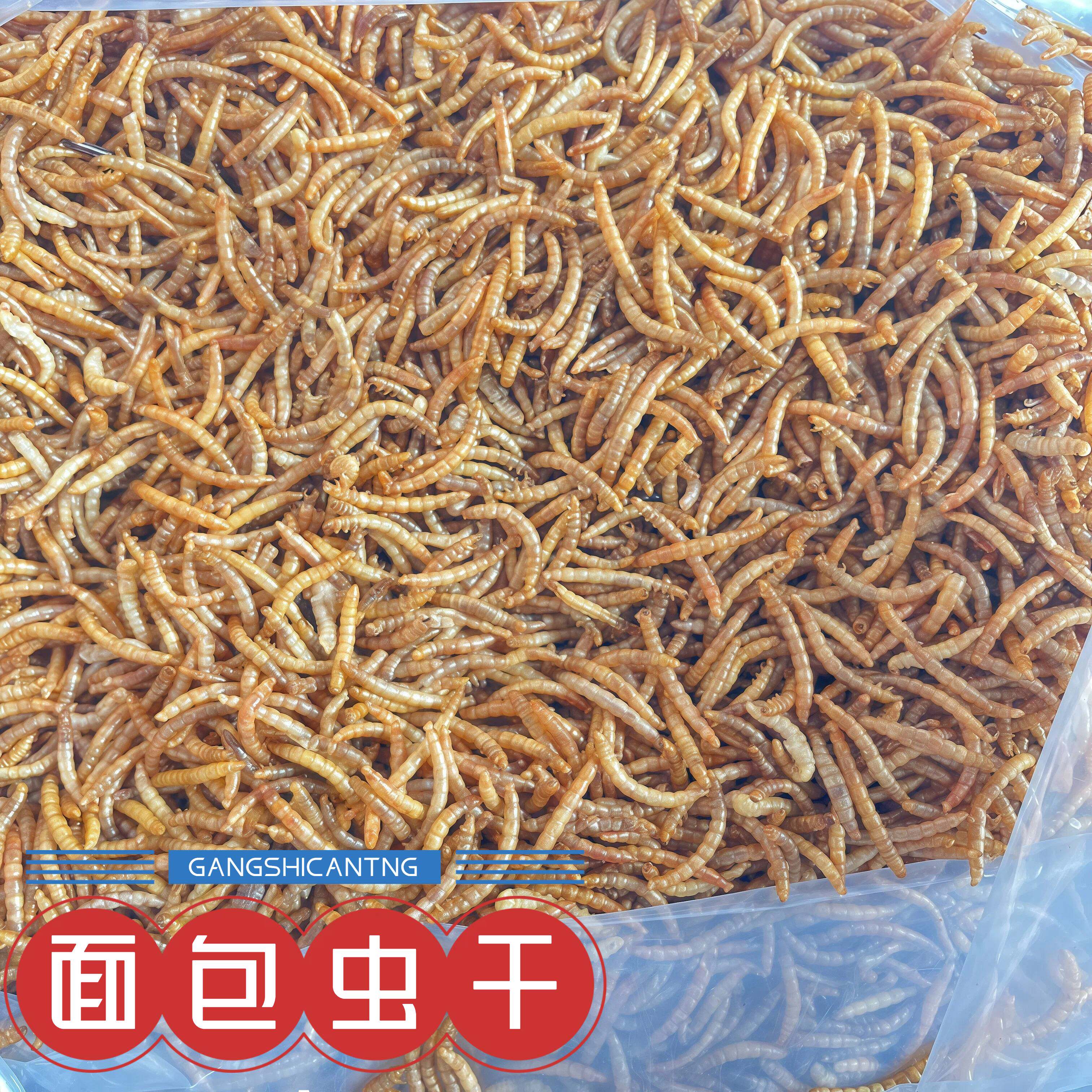 面包虫干高蛋白爬虫食物小宠物饲料乌龟芦丁鸡粮食无添加刺猬饲料