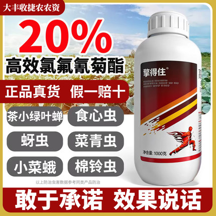 20%高效氯氟氰菊酯杀虫剂农药甘蓝菜青虫杀虫药打虫药触杀胃毒