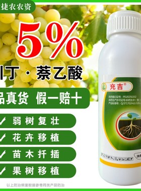 吲丁萘乙酸生根液植物生长调节剂扦插树木移栽生根剂粉正品生根水