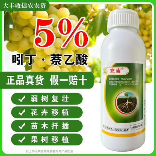 吲丁萘乙酸生根液植物生长调节剂扦插树木移栽生根剂粉正品生根水