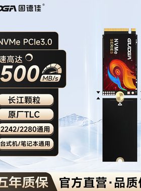 固德佳NVMe PCIe3.0 M2固态硬盘2242可转2280 SSD长江存储TLC颗粒