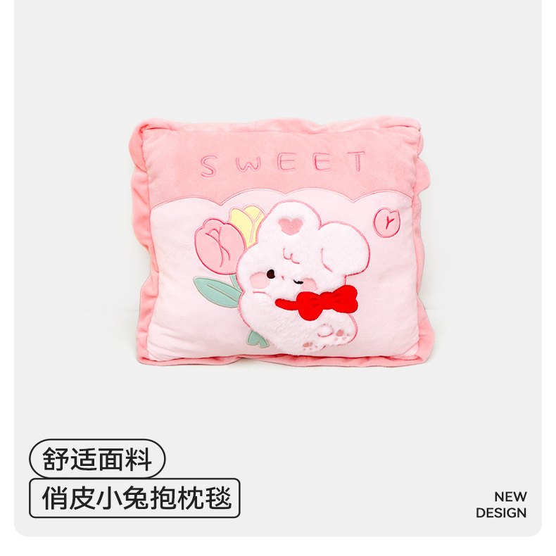 PINKZZZ两用二合一毛毯空调抱枕