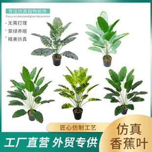 大型北欧仿真植物仿真香蕉叶网红假绿植盆栽室内客厅装饰造景