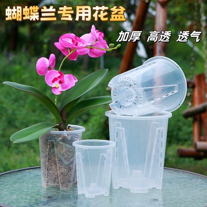 透明可视加厚空气柱控根花盆