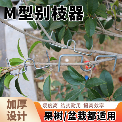 m型果树盆景拉枝定型器