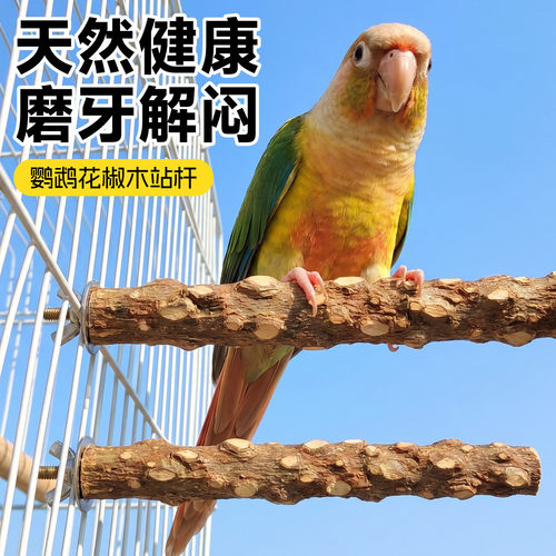 天然花椒木鹦鹉站杆磨爪树枝