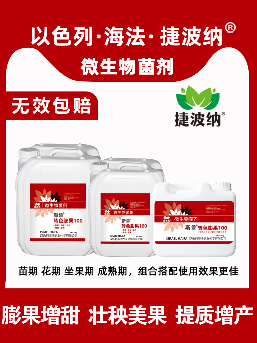 进口以色列海法膨果专用肥转色增甜拉长草莓桶装冲施肥水溶肥正品