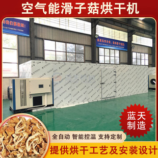 东北滑子菇烘干机 空气能珍珠菇滑子蘑杏鲍菇烘干设备 蘑菇烘干房