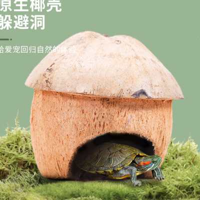 椰子壳躲避屋乌龟爬虫守宫蜥蜴蝎子爬行动物造景用品宠物蛇躲避洞