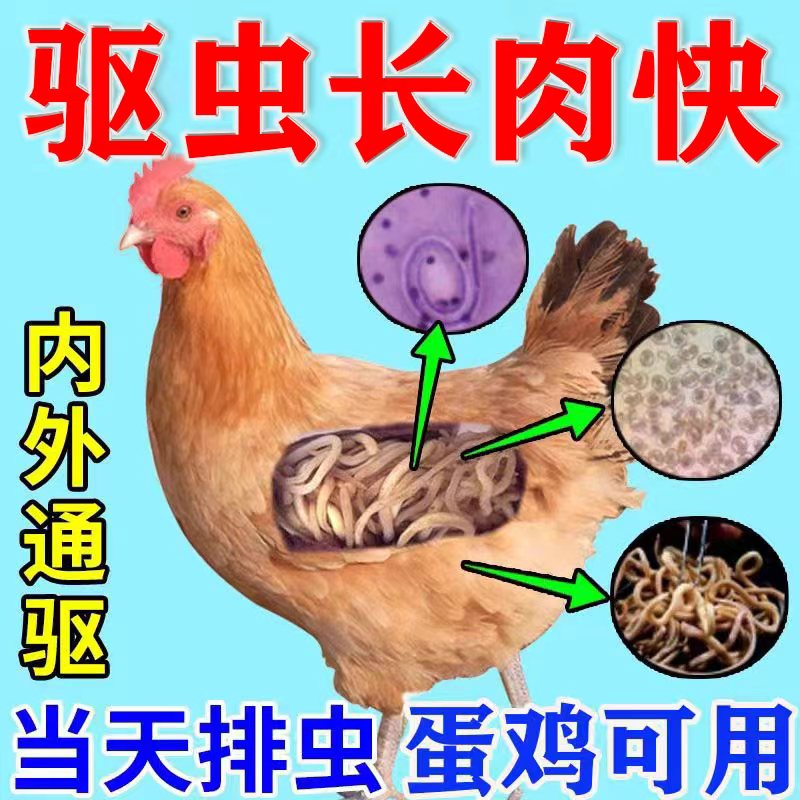 鸡寄生虫驱虫药鸡体内外驱全虫清鸡鸭鹅肠道蛔虫球虫线虫驱打虫药