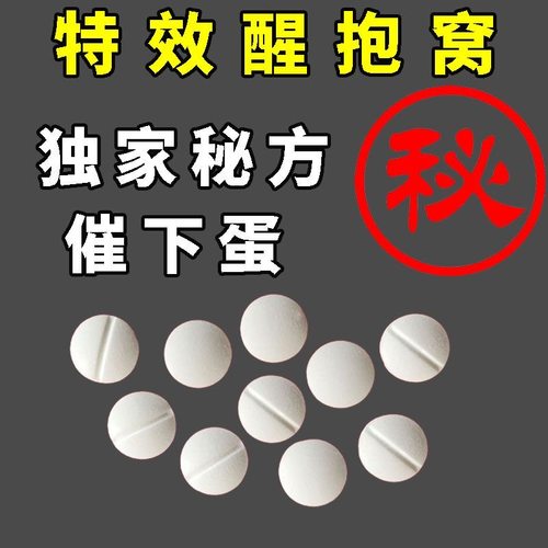 母鸡醒抱药让母鸡不抱窝【秘方】