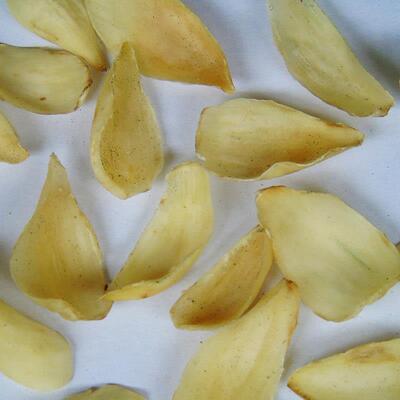 百合龙百AOJ合江西全井冈山特产无硫牙百合食用百日晒干 合干净重