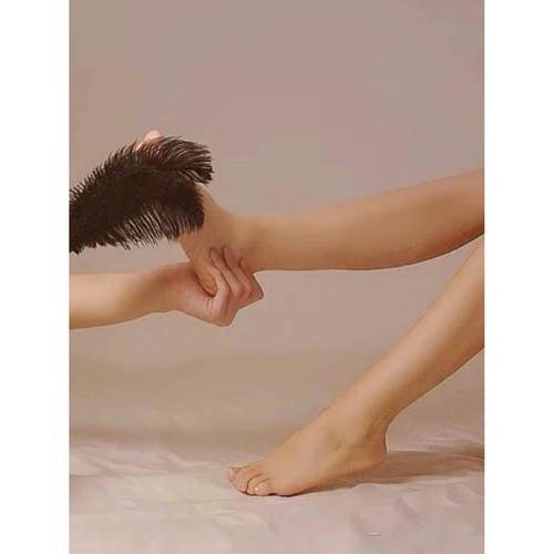 挠痒痒的羽毛单支鸵鸟