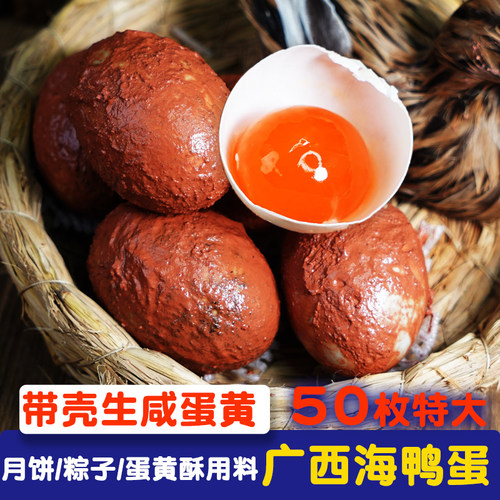红树滩林50枚泥蛋带壳生咸海鸭蛋咸蛋黄包粽子蛋黄酥月饼馅料流油