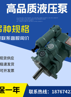台湾柱塞泵cP08/P16/P22/P36-A0/A1/A2/A3-F-R-01液压油泵