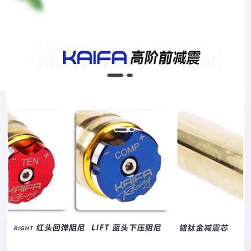 适用光阳a赛艇S250/S350 CK300T-13阻尼前避震器前避震器改装配件