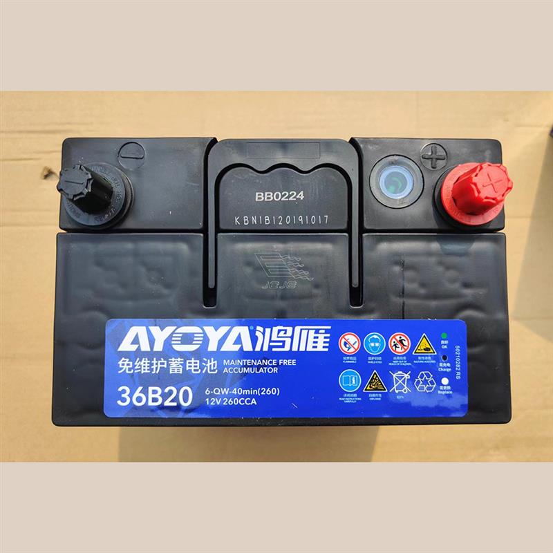 鸿雁蓄电池启动用36B20(6-QW-40min)船舶照明电瓶图片