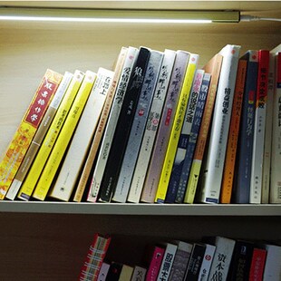 Under cCabinet LED Strip Light Closet Lamp Cuisine Bookcase