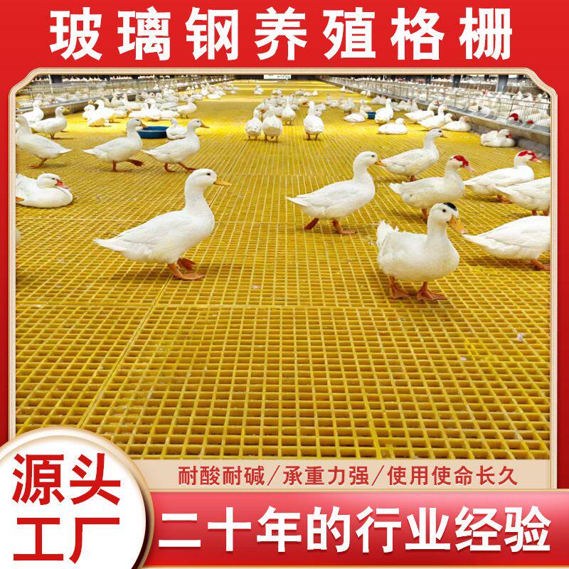 定制玻璃钢养殖用格栅养鸭鸡鹅漏粪板网格板鸽舍地网玻璃钢格栅板