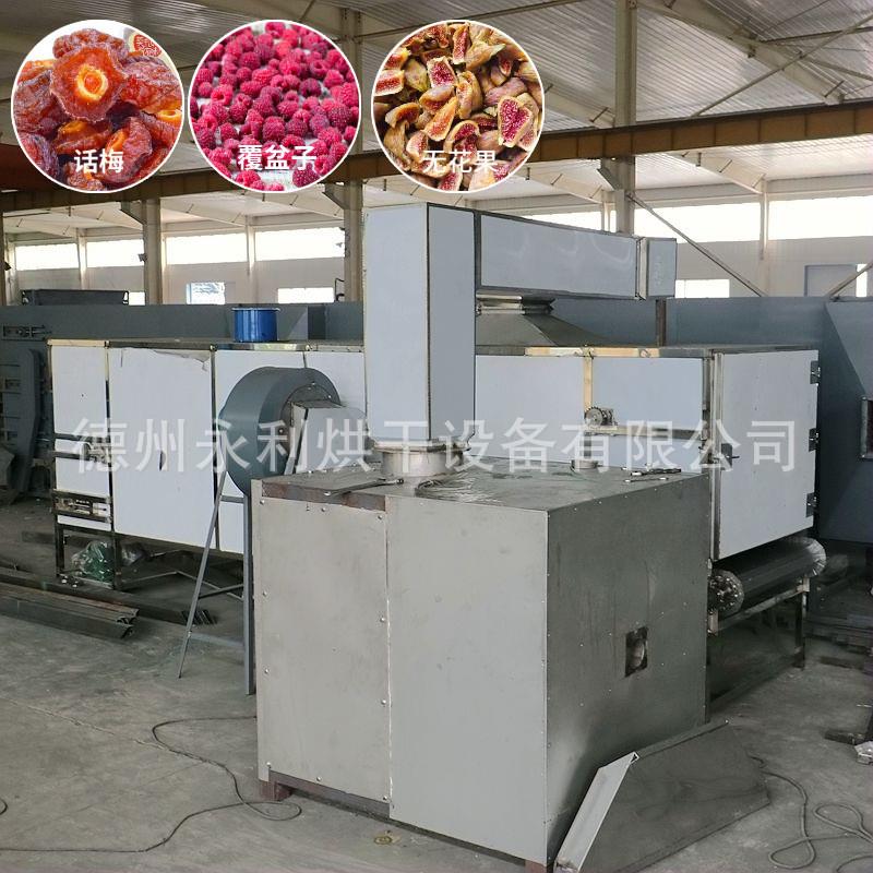 永利供应树莓覆盆子果脯干燥机 无花果烘干机 不锈钢食品干燥设备