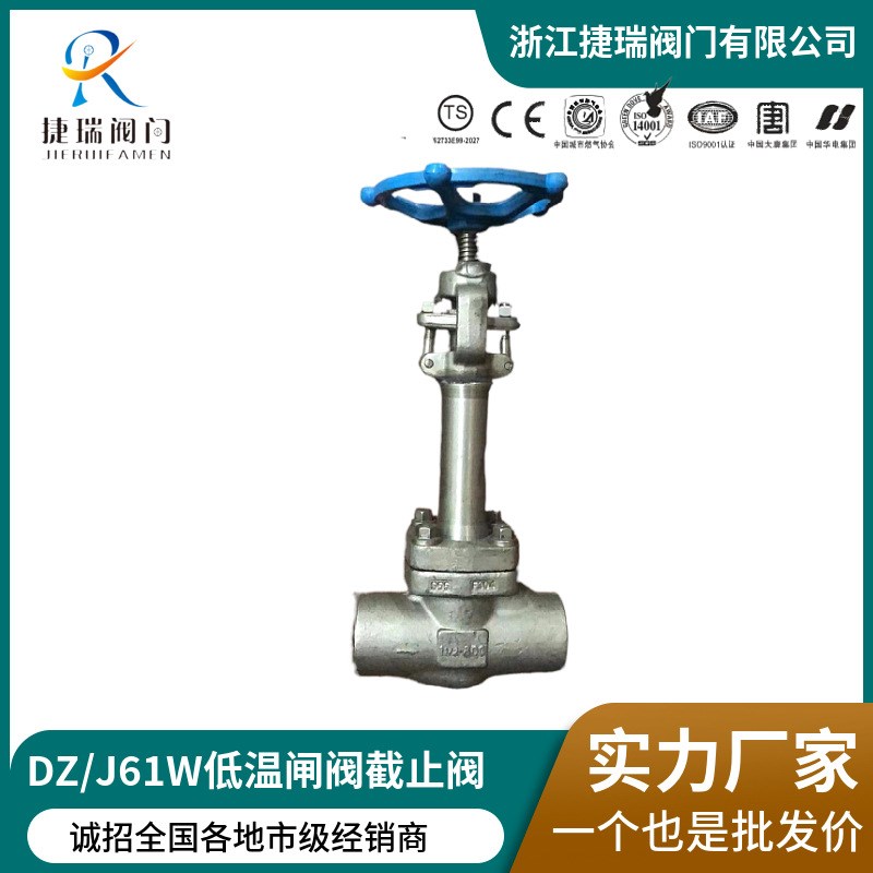DZ61W-16P25C40RL焊接加高阀杆低温闸阀DJ61W焊接不锈钢截止阀