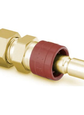 B-QC6-D-600黄铜仪表快速接头管茎0.5Cv3/8 in.卡套接头