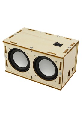 Handmade Science Experiment Toys DIY Bluetooth Speaker Mate