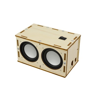 Handmade Science Experiment Toys DIY Bluetooth Speaker Mate