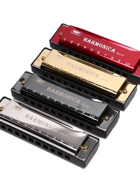 Professional 10 Hole Harmonica Mouth Metal Organ for Beginne