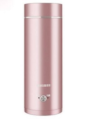 Portable Mini Electric Kettle Water Thermal Heating Boiler T