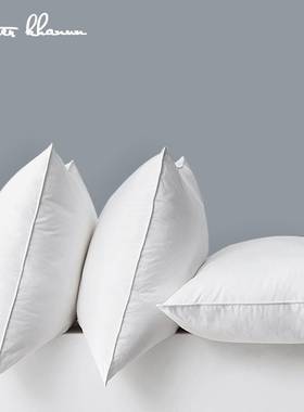 Peter Khanun White Soft Pillow Down Alternative Pillow Ins