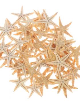 100pcs Sea Shells Size:0.5-3cm Mini Starfish Craft Decorati