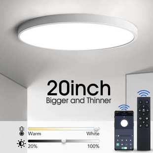 Ultrathin Led Ceiling Light Modern 20inch Large Ceiling Lam