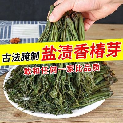 香椿芽新鲜咸菜腌制红香椿芽咸菜