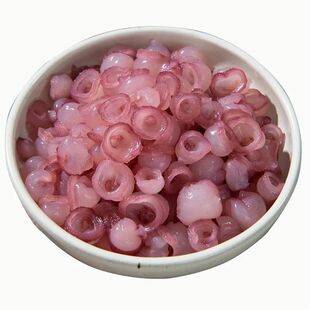 延边特产美食海灵菇新鲜冷冻生海鲜章鱼吸盘鱿鱼吸盘不送酱料小号